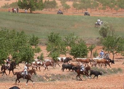 Encierros en Alcadozo