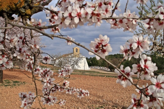 Ermita de la Encarnacion Casas de Ves