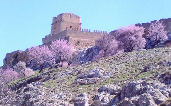 Castillo de Taibilla Pedro-Andres Nerpio  Nerpio