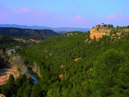 Los Cárceles (Villamalea)