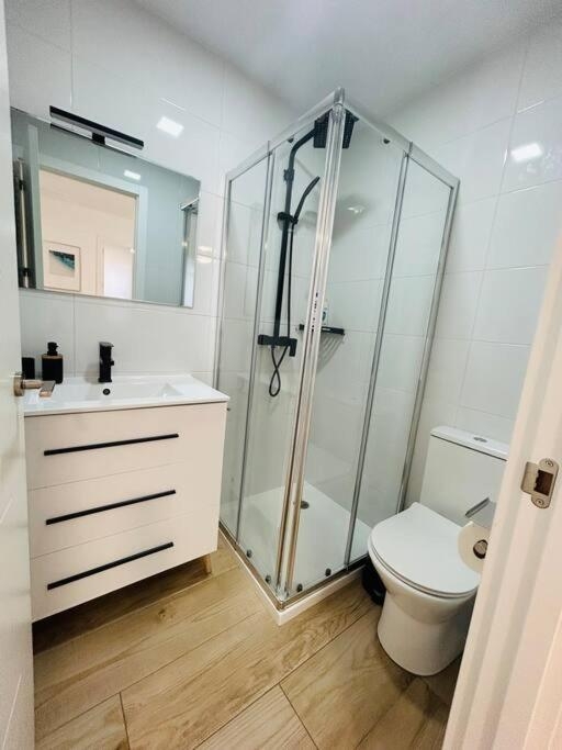 Apartamentos birdie