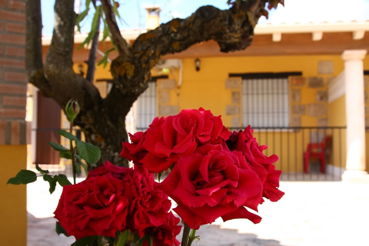 Casas Rurales Ramirez Casas Rurales Ramírez, en Ossa de Montiel (Albacete)