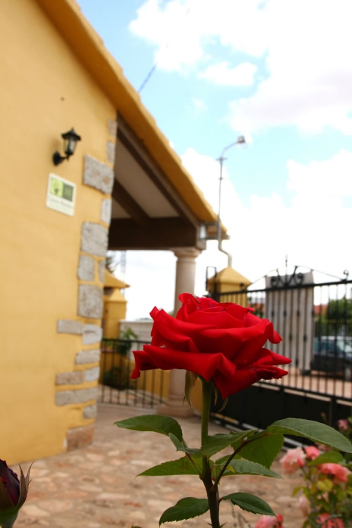 Casas Rurales Ramirez Casas Rurales Ramírez, en Ossa de Montiel (Albacete)