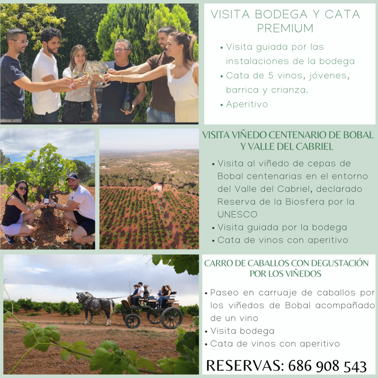 Bodega Pagos de Familia Vega Tolosa, S.A.