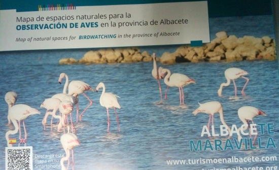 Ver aves en la provincia de Albacete 2020