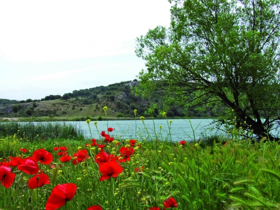 Monumento Natural Laguna del Arquillo