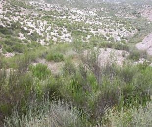 Microrreserva Yesares de Hell&iacute;n