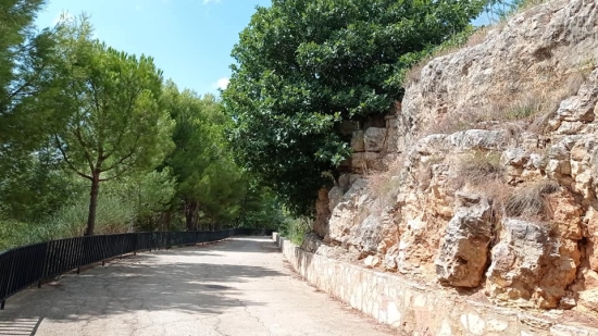 MIrador Paseo de los  Riscos Munera