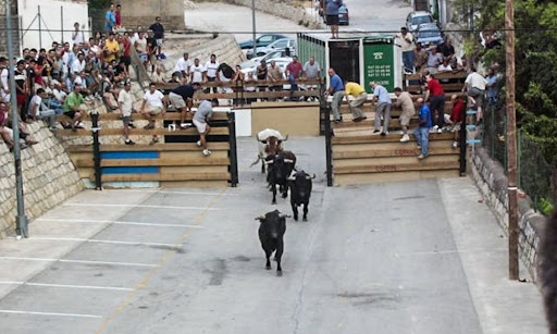 Encierros en Alcal&aacute; del Jucar