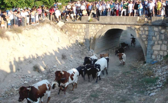 Encierros en Nerpio