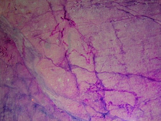 Pinturas Rupestres Cueva del Niño Ayna