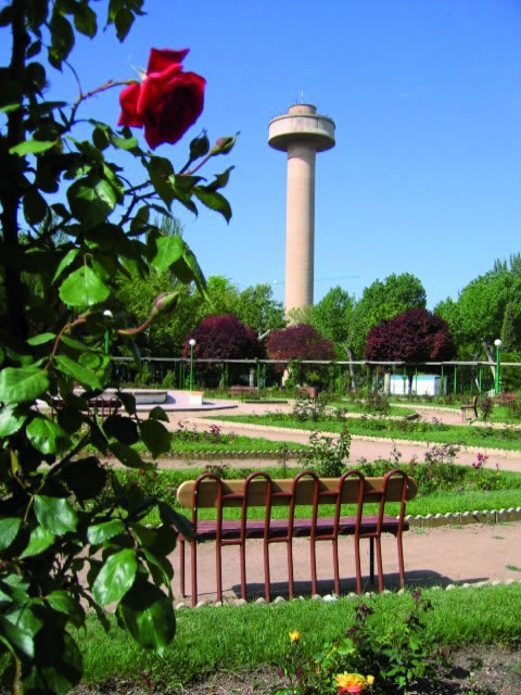 Parque Fiesta del Árbol (Albacete)