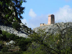 Nerpio