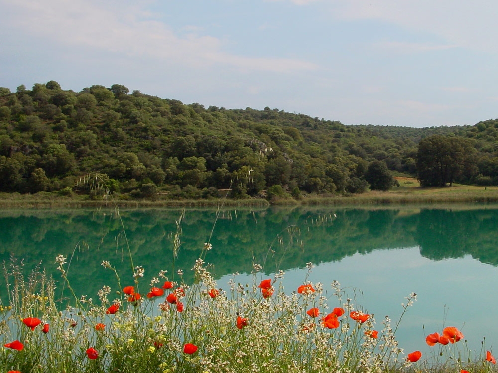 Sierra de Alcaraz y Campos de Montiel