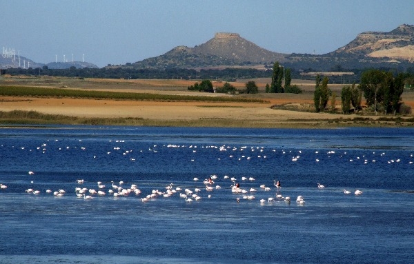 Pétrola lagoons