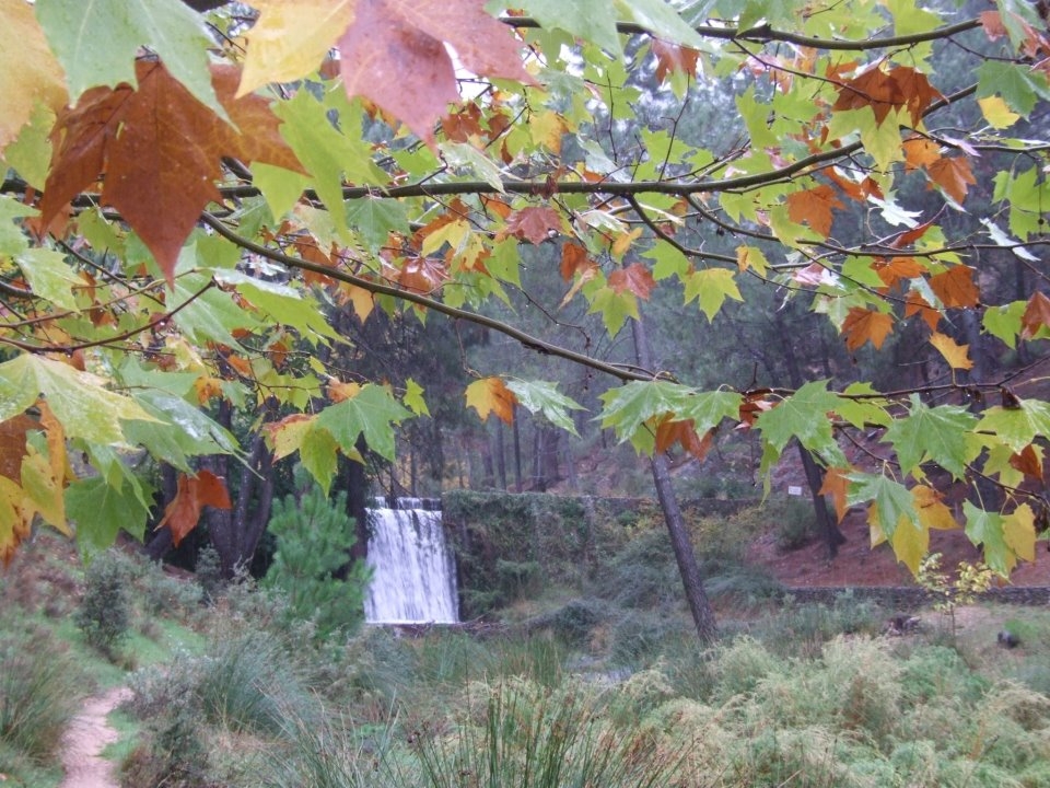 Autumn tourism in Albacete 2012