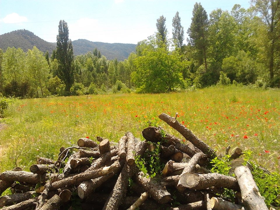 paisajes de verano en Albacete