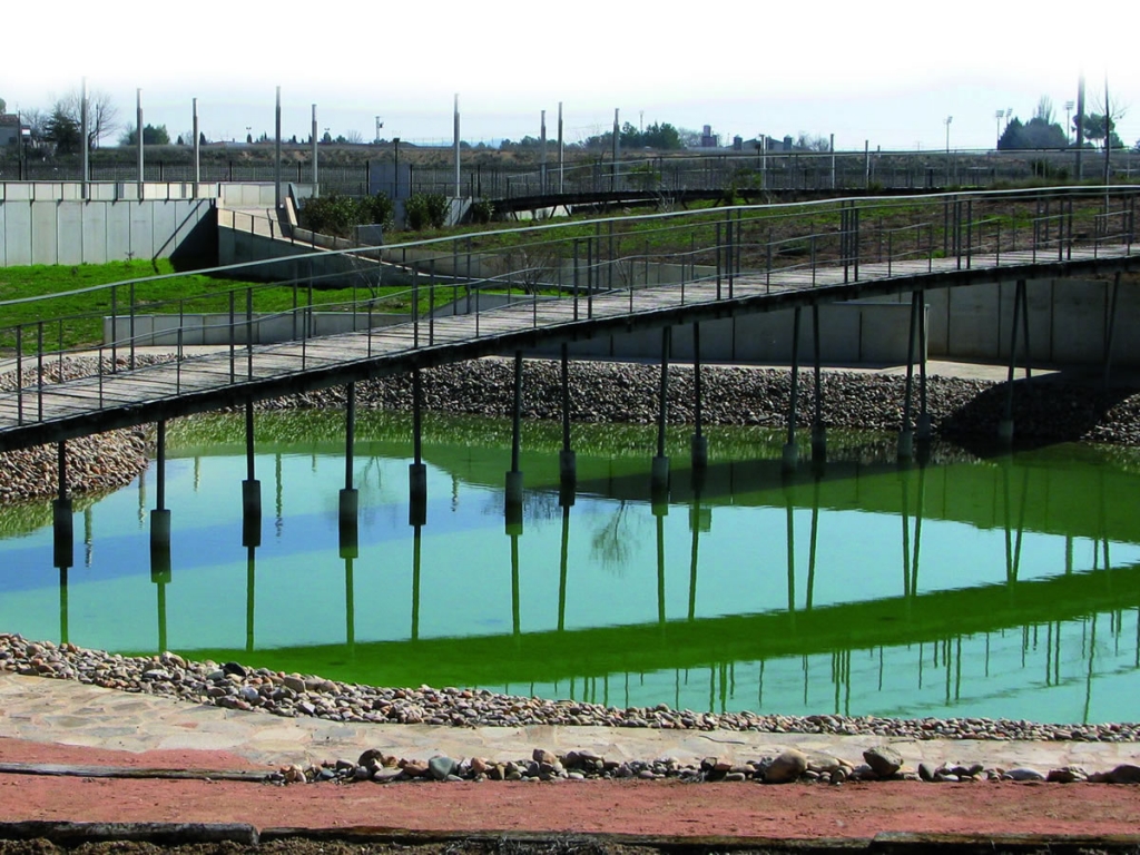 El Jardín Botánico de C-LM abre los fines de semana de Junio-2014