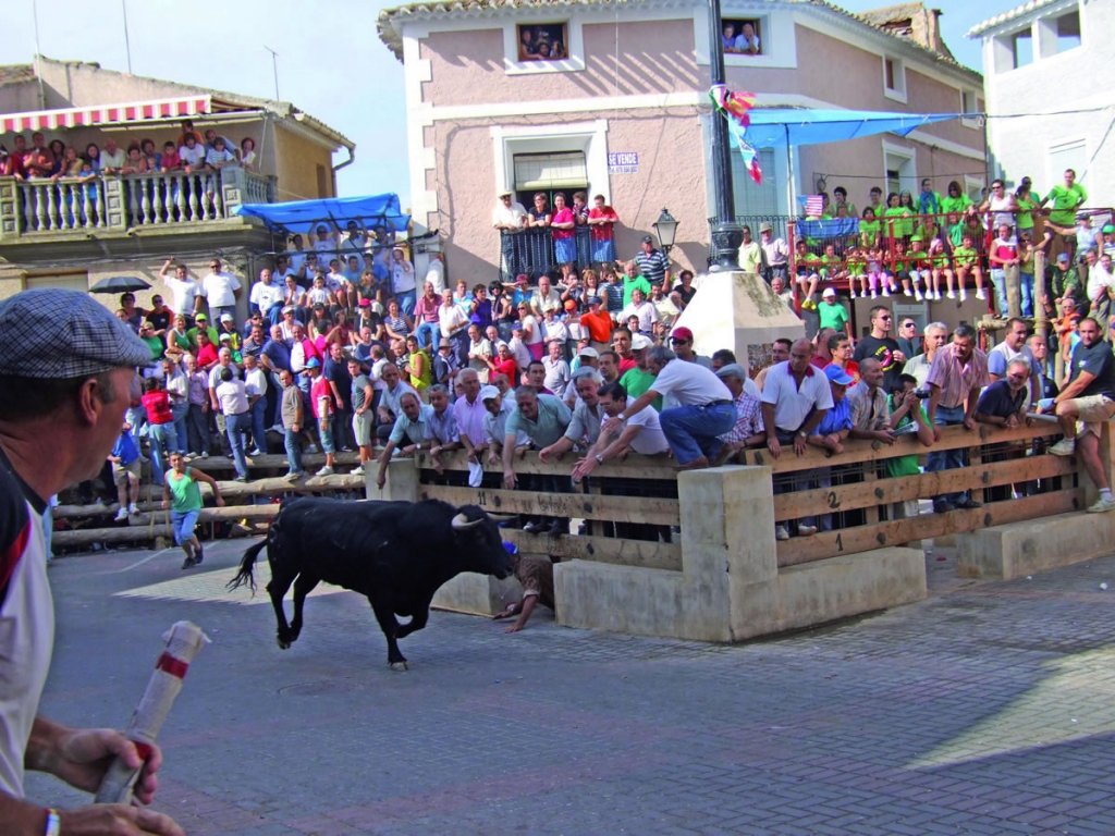 Running of bulls in Sierra del Segura 2011