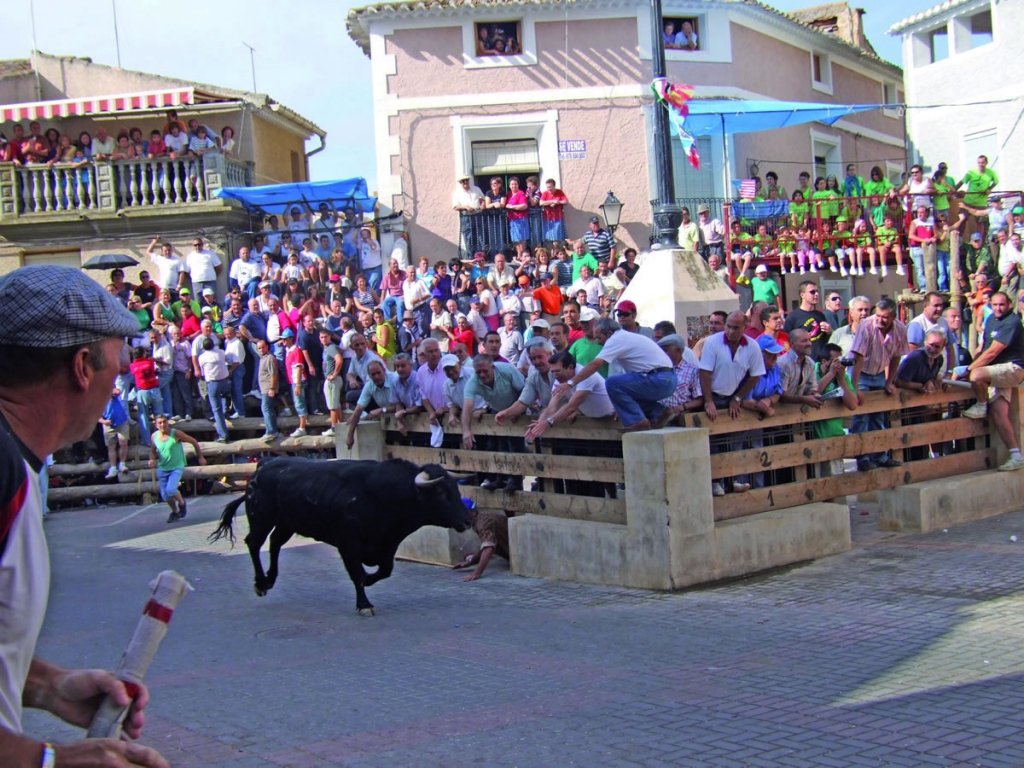 Bull running in the Province of Albacete