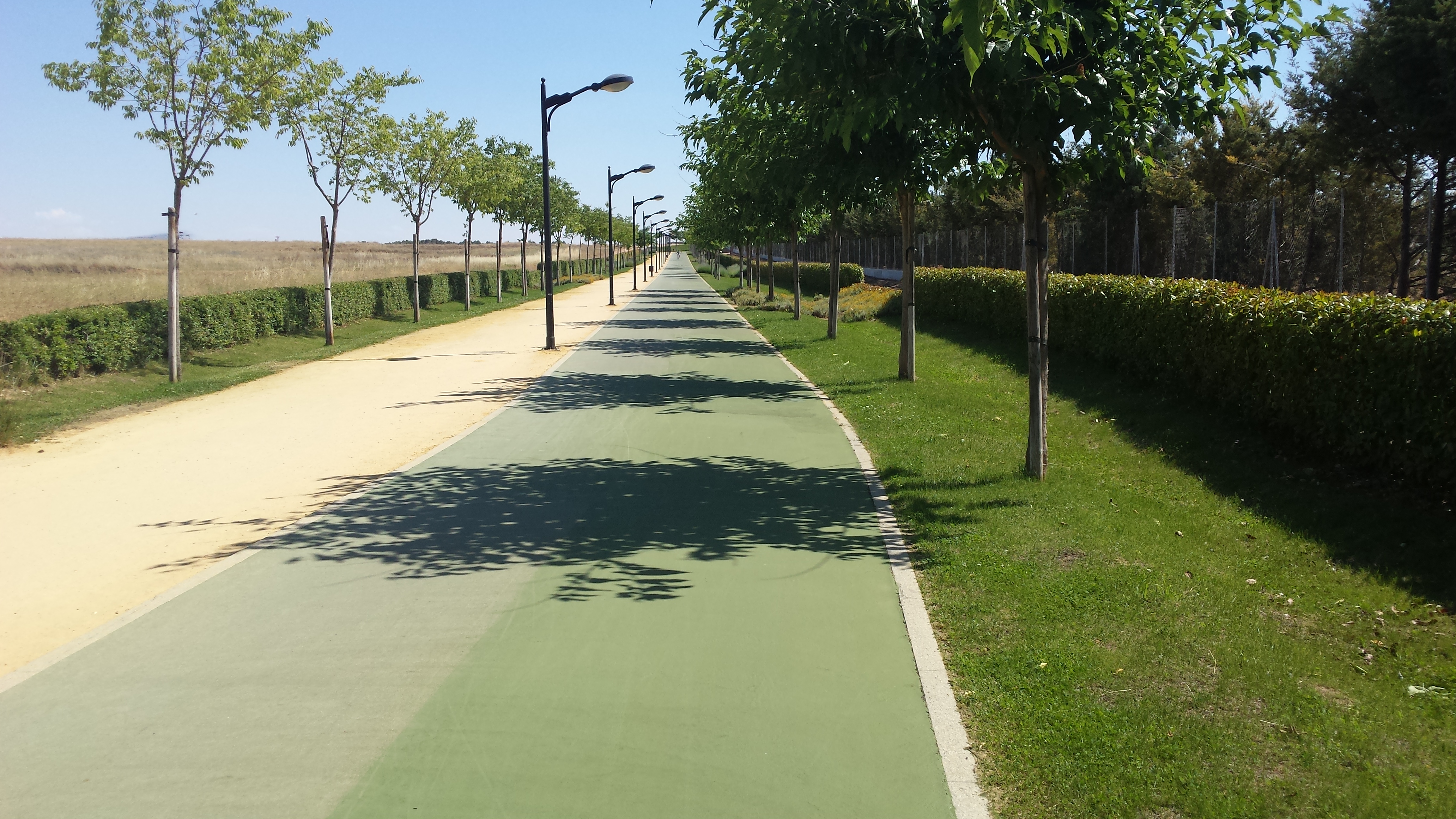 Ciclismo por la v&iacute;a verde 