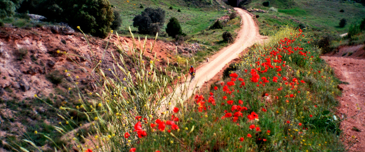 Santa Ana por la V&iacute;a Verde de la Sierra de Alcaraz