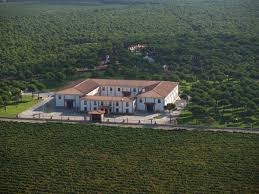 Bodega Pago de la Jaraba 